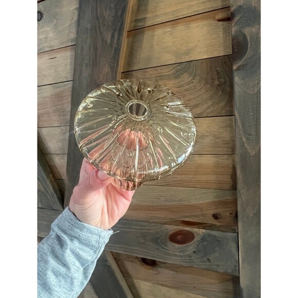 Mushroom Propagating Jar Vase Glass for Plant Cuttings and Water - Picture 1 of 3